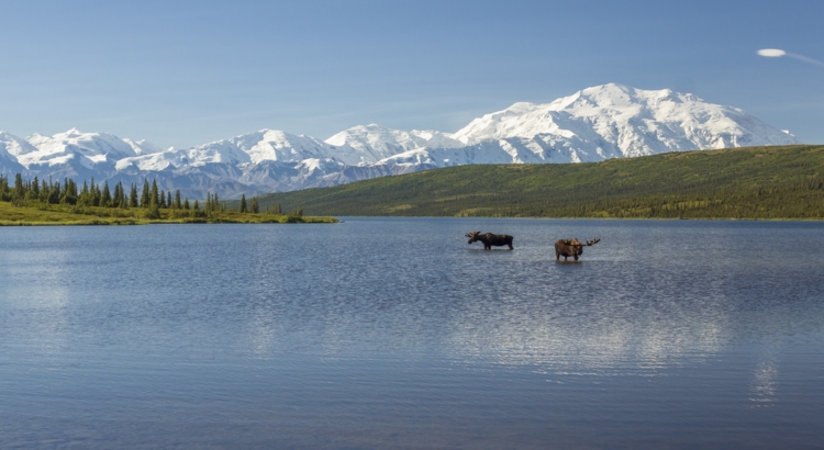 Alaska, Wonder Lake